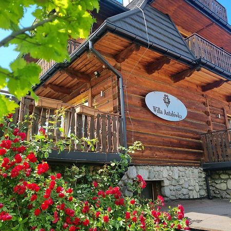 Willa Antalowka Zakopane Ngoại thất bức ảnh