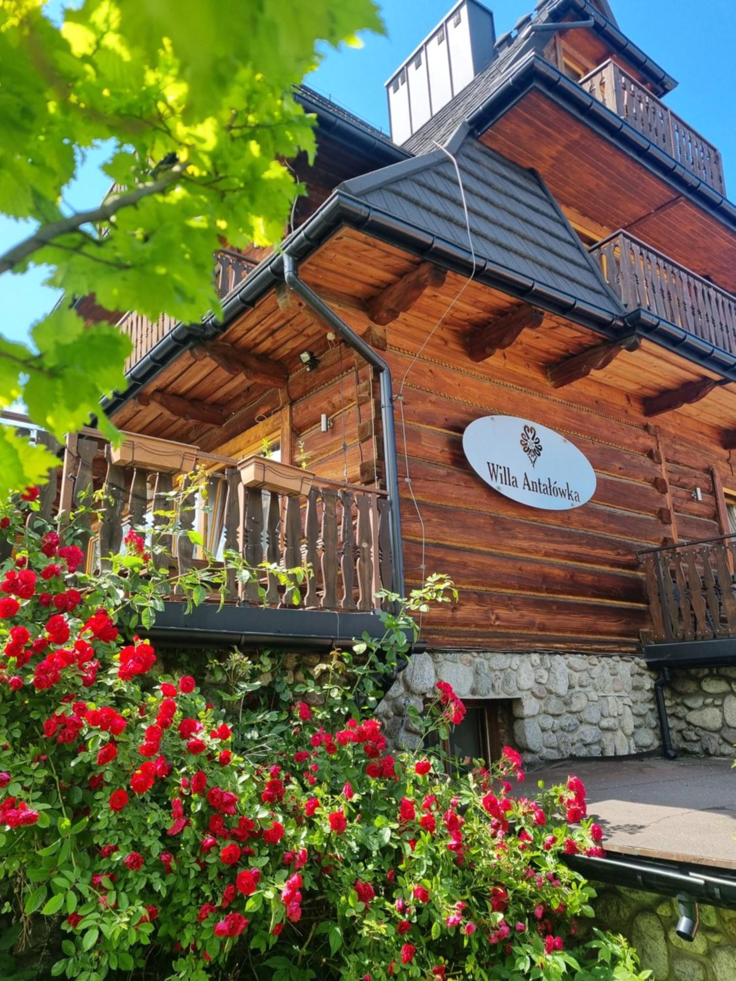 Willa Antalowka Zakopane Ngoại thất bức ảnh